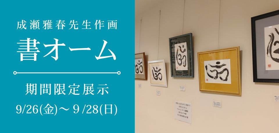 img20250907215346859201.jpg